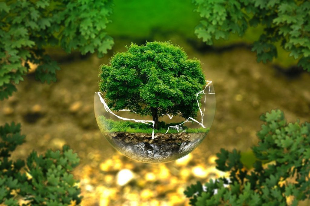 Développement durable : entreprise et impact environnemental 