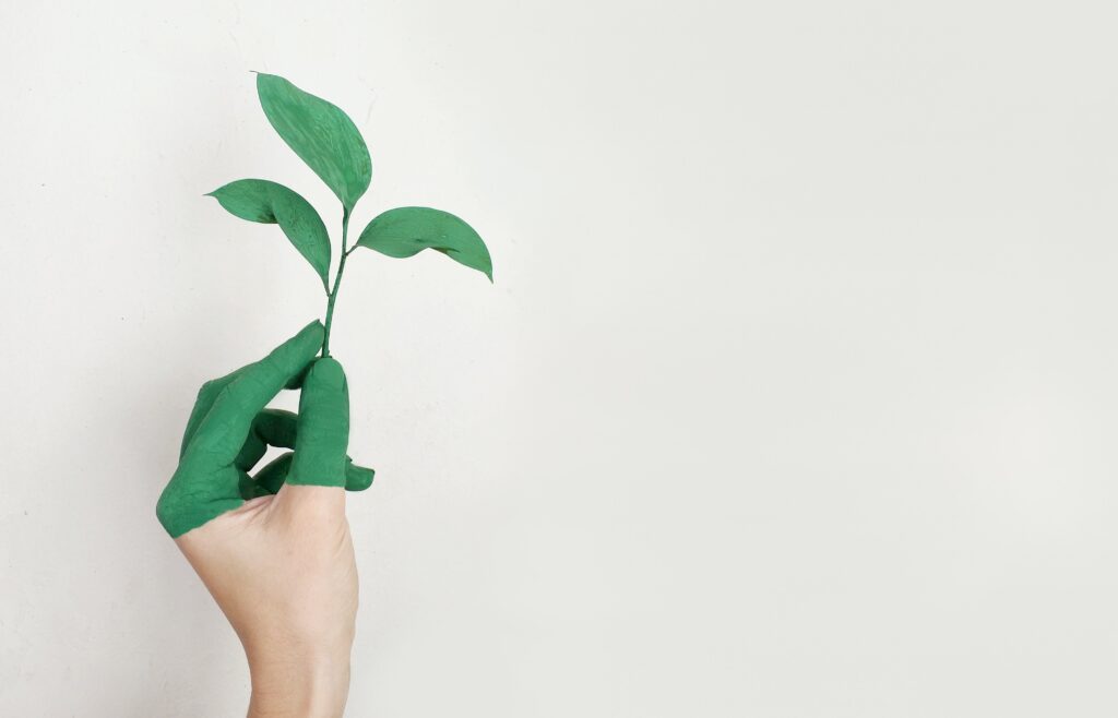 Développement durable : entreprises vertes